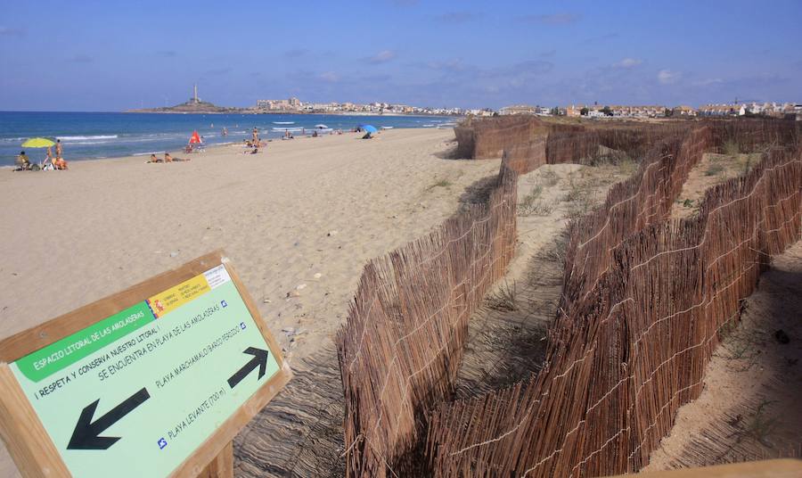 Los 53 humedales de la Región se incorporan al inventario nacional que impulsa el Ministerio para la Transición Ecológica