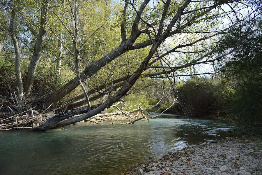 Los 53 humedales de la Región se incorporan al inventario nacional que impulsa el Ministerio para la Transición Ecológica