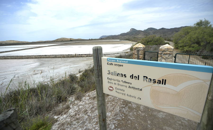 Los 53 humedales de la Región se incorporan al inventario nacional que impulsa el Ministerio para la Transición Ecológica