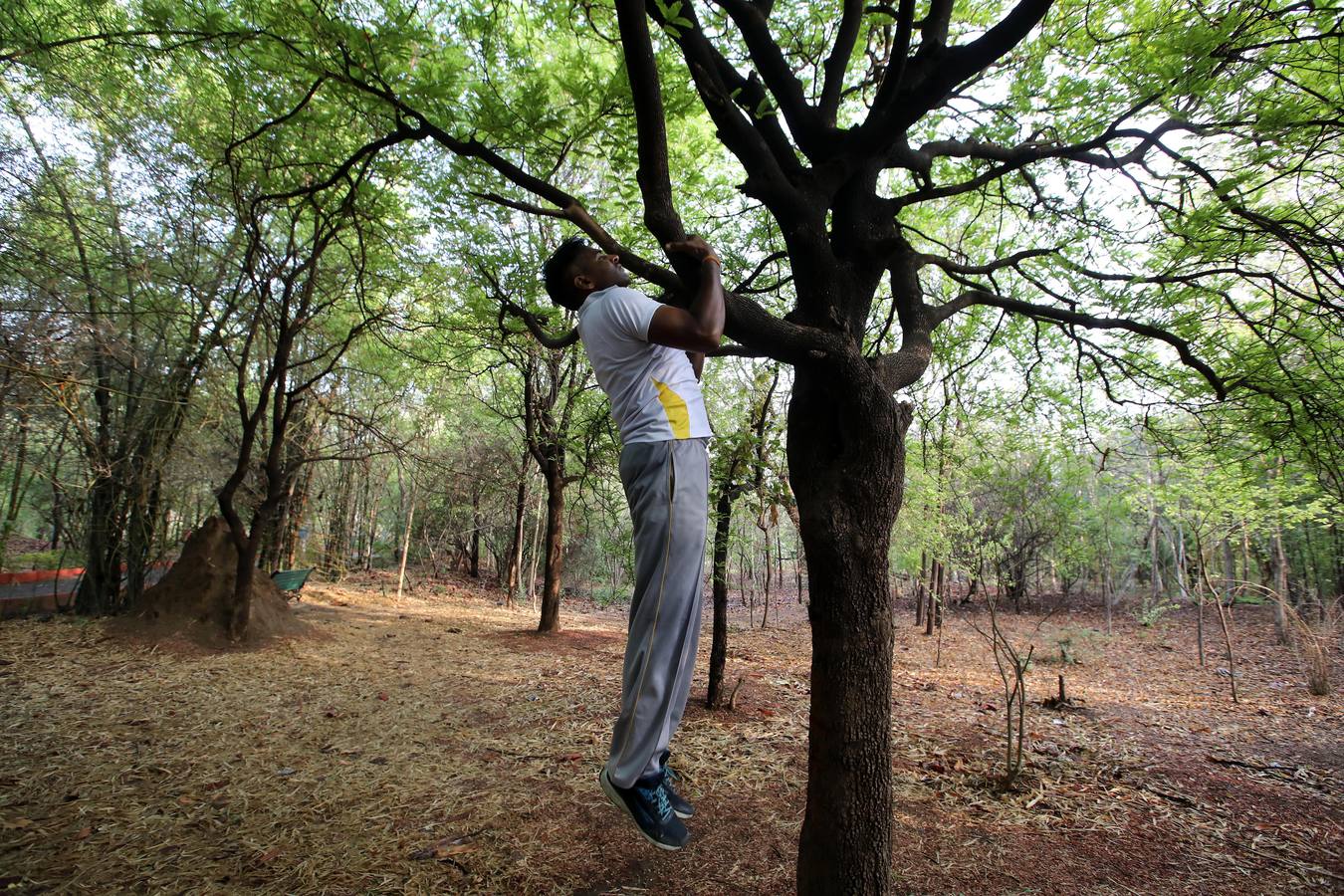 Un gran número de personas participa en la 6ª edición del Día del Yoga Los entusiastas del yoga de todo del mundo celebran este día practicando ejercicios y sesiones de respiración al aire libre para descubrir sus beneficios.