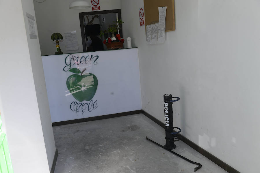 La Policía Nacional intervino 2.000 plantas de marihuana, encontradas en domicilios de Corvera, San José de la Vega, Santomera, Espinardo, La Alberca y La Arboleja