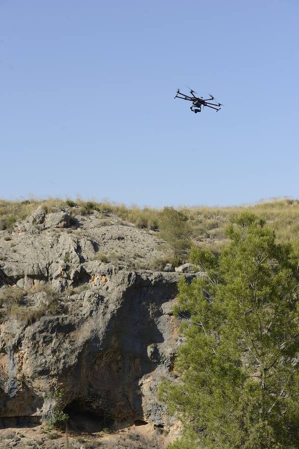 Geofísica, genética, paleobotánica y zoología ayudan a profundizar en el conocimiento de los orígenes del hombre.