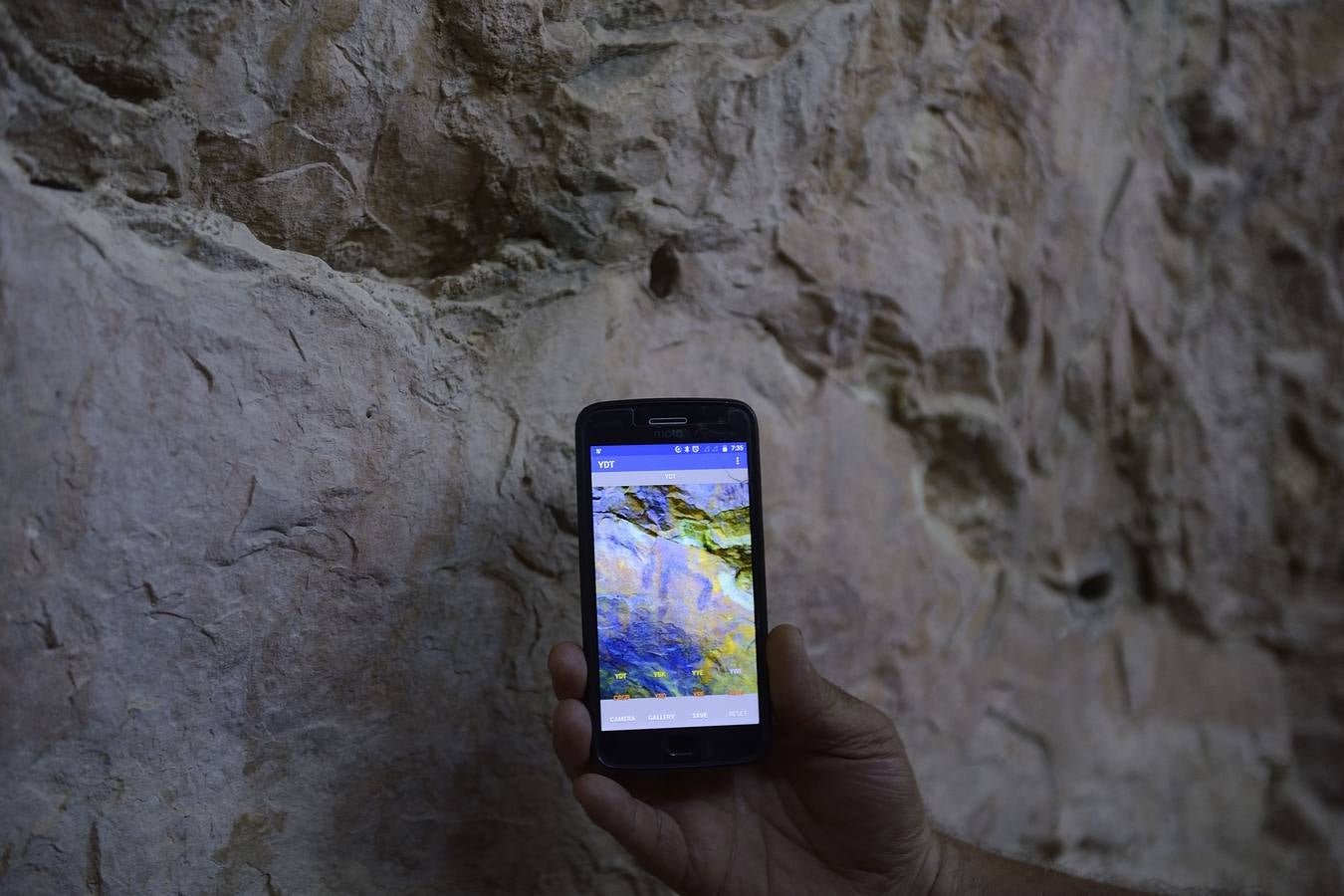 Geofísica, genética, paleobotánica y zoología ayudan a profundizar en el conocimiento de los orígenes del hombre.