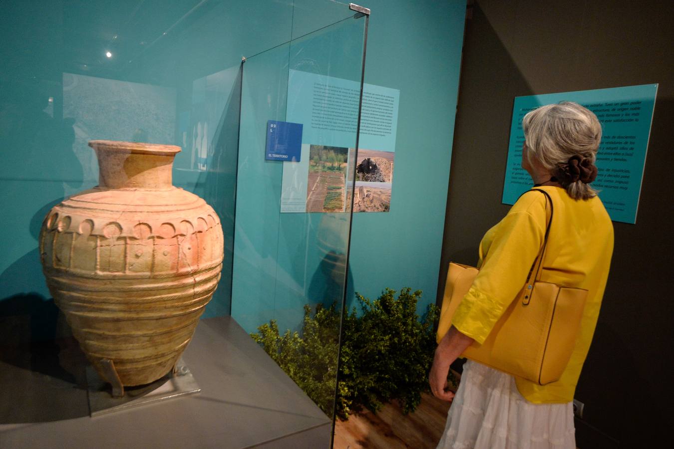 El Museo Arqueológico de Murcia acogió la inauguración de la exposición 'Rey Lobo. El Legado de Ibn Mardanish'