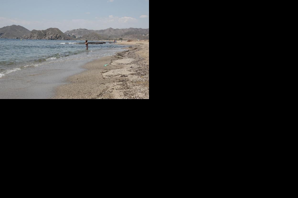 Playa de La Cola, junto a Calabardina, donde se prevé la construcción de 2.313 viviendas. 