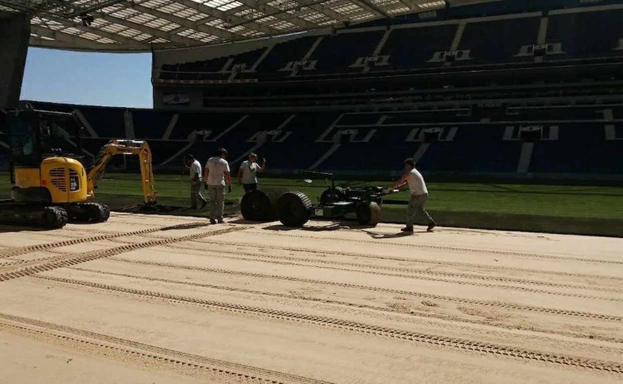 Trabajadores preparando el césped del Estadio do Dragão del FC Porto.