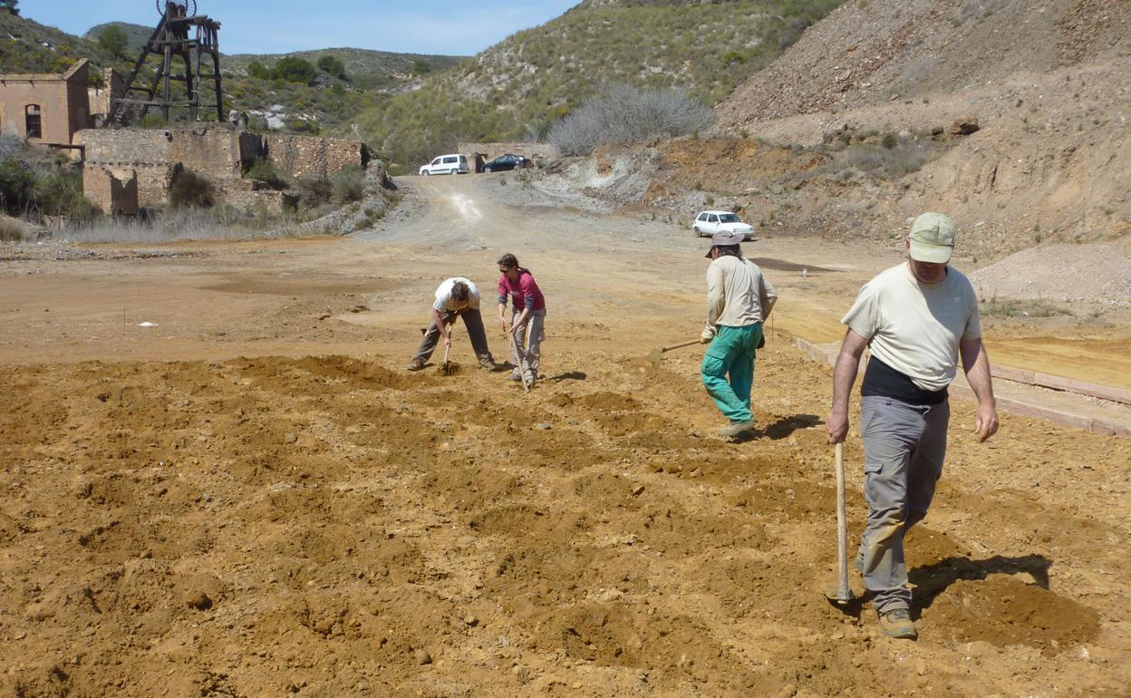 Investigadores del proyecto Life ensayan con restos de mármol y purines para reverdecer la Sierra Minera, en una foto de archivo. 