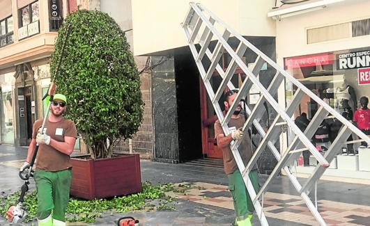 Un equipo se traslada tras recortar el arbusto de un macetero. 