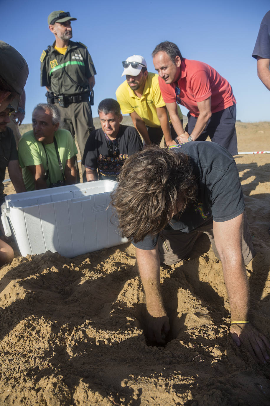 Medio Ambiente custodia en Cala Arturo el primer anidamiento de esta especie en el litoral de la Región en más de cien años.