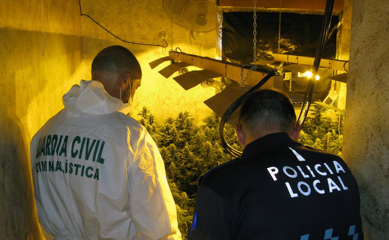 Agentes de la Guardia Civil ante el invernadero de marihuana.