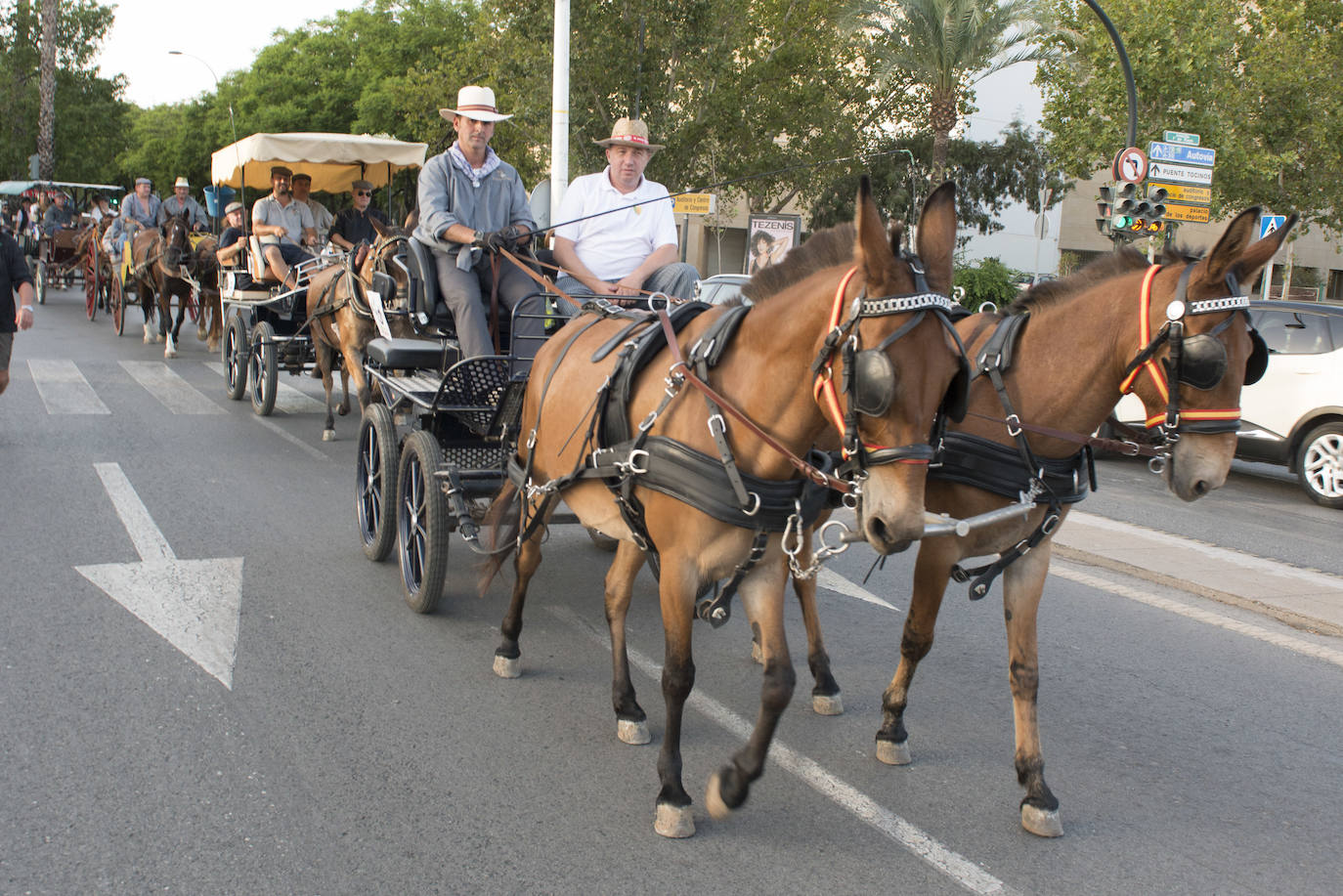 Más de cincuenta carros parten desde la Federación de Peñas Huertanas, en la avenida Primero de Mayo, con rumbo al paseo marítimo de Los Alcázares