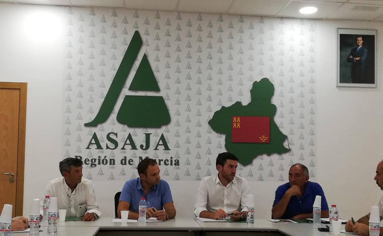 Reunión de Asaja Murcia con el consejero de Agua, Agricultura, Ganadería, Pesca y Medio Ambiente, Antonio Luengo.