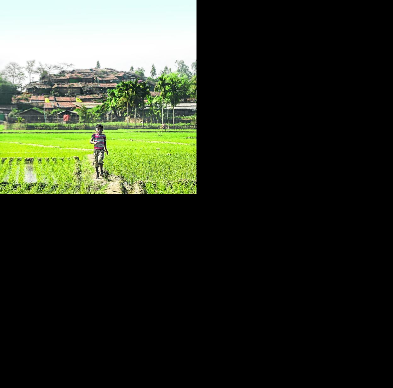 Un niño rohingya corre por un cultivo próximo al campamento de refugiados, al otro lado de la alambrada. 
