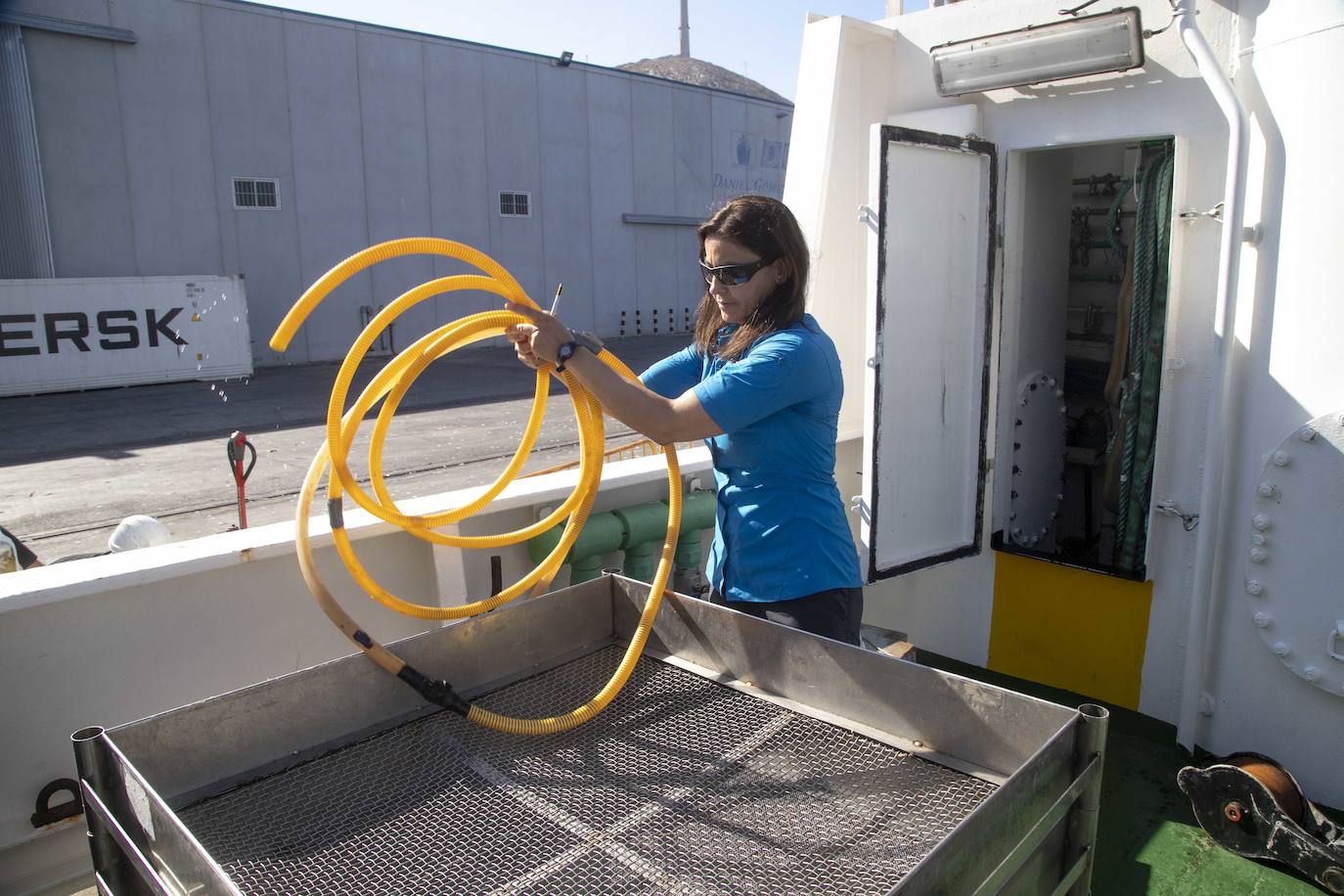 Científicos del IEO y de la Universidad de Alicante documentan la existencia de especies vulnerables en los montes submarinos de Torrevieja a Águilas para impulsar su protección