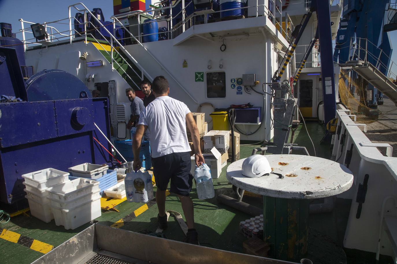 Científicos del IEO y de la Universidad de Alicante documentan la existencia de especies vulnerables en los montes submarinos de Torrevieja a Águilas para impulsar su protección