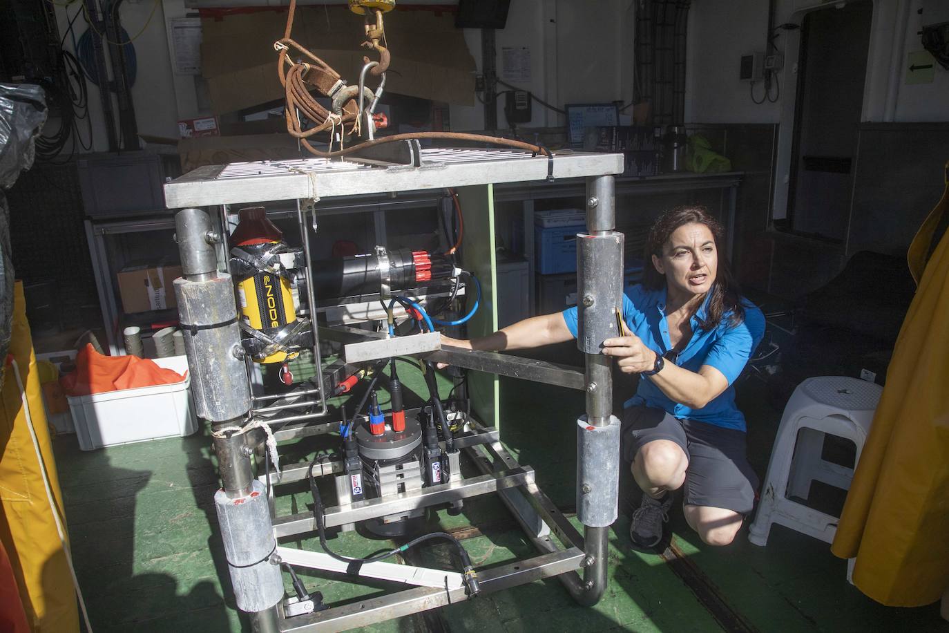 Científicos del IEO y de la Universidad de Alicante documentan la existencia de especies vulnerables en los montes submarinos de Torrevieja a Águilas para impulsar su protección