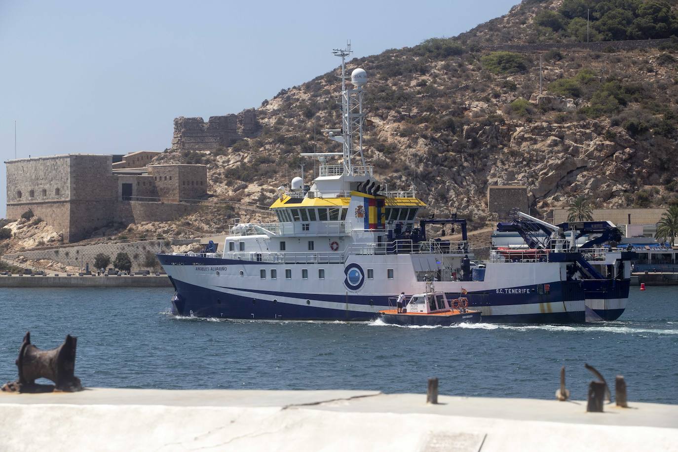 Científicos del IEO y de la Universidad de Alicante documentan la existencia de especies vulnerables en los montes submarinos de Torrevieja a Águilas para impulsar su protección