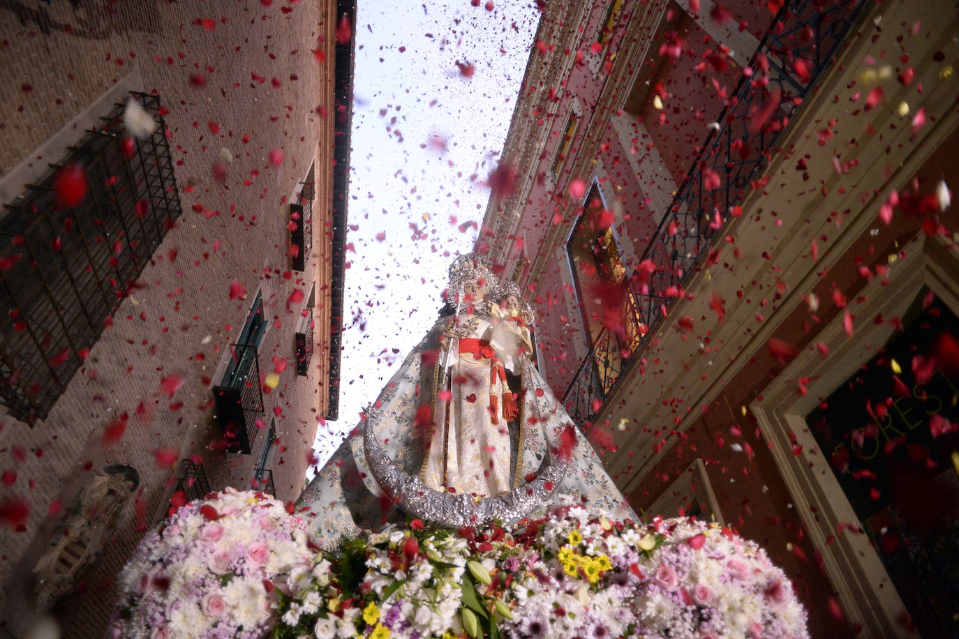 Miles de devotos acompañaron a La Patrona hasta la plaza Cardenal Belluga, donde fue recibida por una petalada formada por 10.000 pétalos de rosa