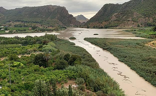El azud de Ojós, embalse regulador del postrasvase Tajo-Segura, este jueves.