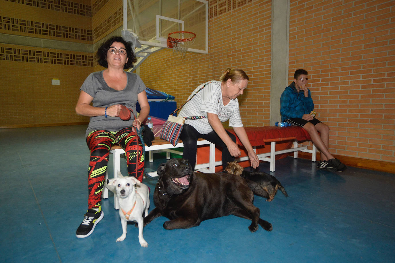 Los vecinos de estas pedanías murcianas han dormido en albergues habilitados como prevención ante posibles inundaciones. 