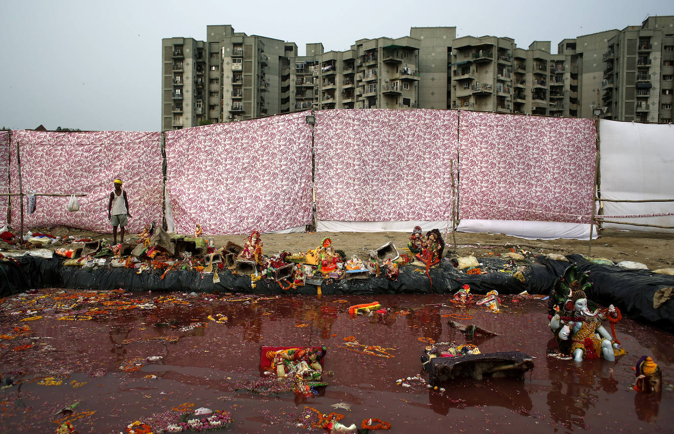 Indios devotos emergen en el mar Arábigo al dios con cabeza de elefante Ganesha durante la celebración del festival Ganesh Chaturthi, en Bombay (India). Esta celebración tiene lugar el cuarto día de la primera quincena del mes hindú Bhaadrapa, una jornada que coincide con el aniversario del nacimiento de Ganesha, hijo de Shiva y Parvati.