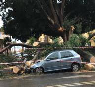 El temporal sigue sin dar tregua, se extiende a más provincias y este sábado se ha cobrado la séxta víctima mortal.