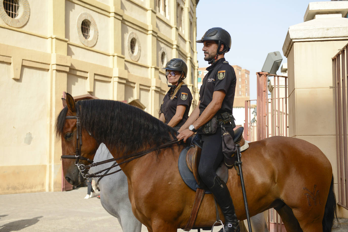 Seis ejemplares de la Unidad Especial de Caballería de la Policía Nacional causan impresión en la puerta de la Plaza de Toros en la primera corrida de la feria.