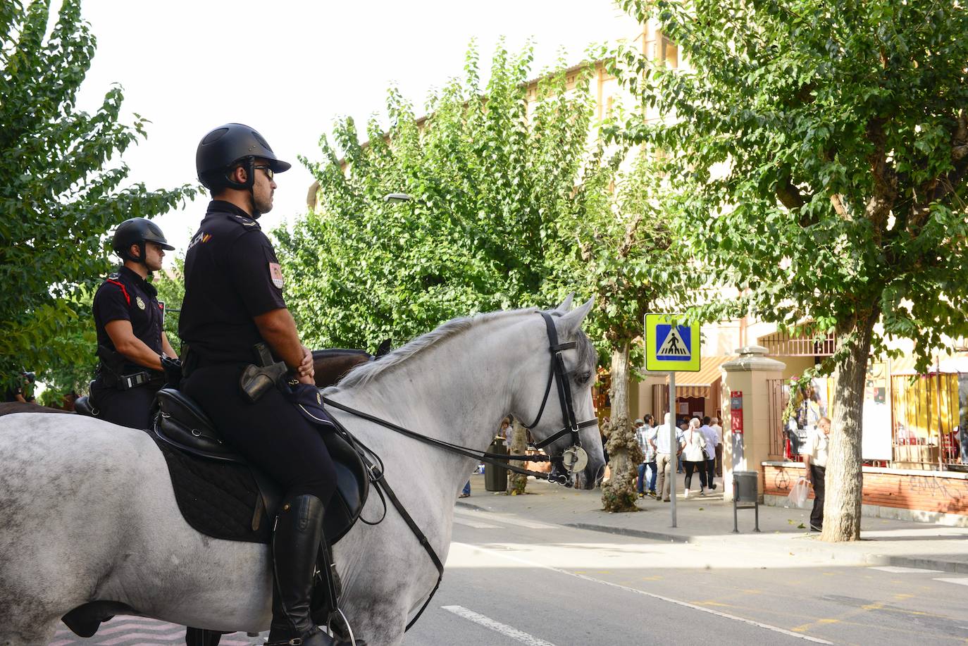 Seis ejemplares de la Unidad Especial de Caballería de la Policía Nacional causan impresión en la puerta de la Plaza de Toros en la primera corrida de la feria.