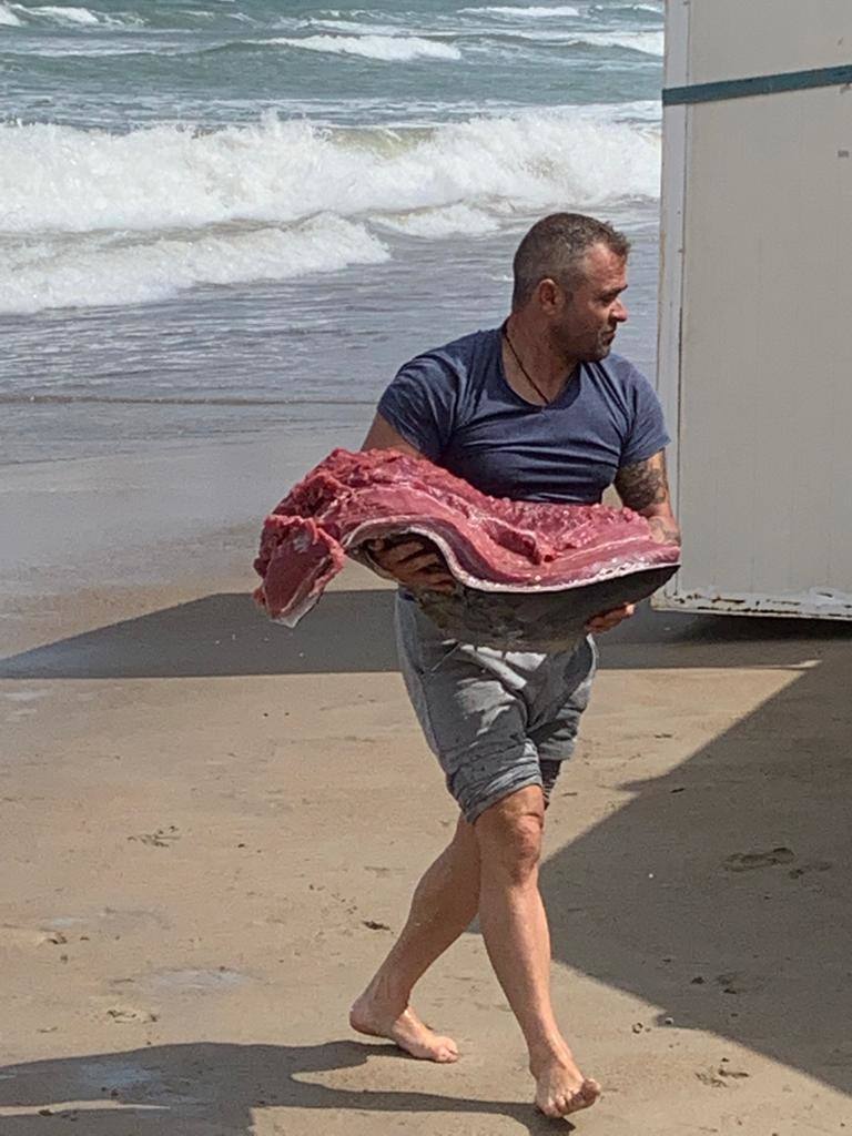 Salud advierte del riesgo de consumir estos animales, procedentes de un vivero situado en el Mediterráneo.