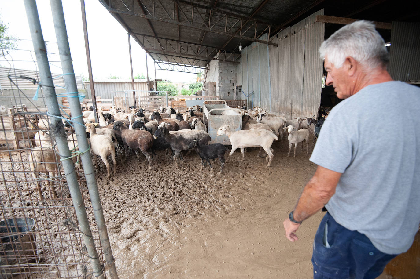 Recorrido por las localidades de Alquerías, Beniel y Llano de Brujas, donde el temporal causó cuantiosos destrozos