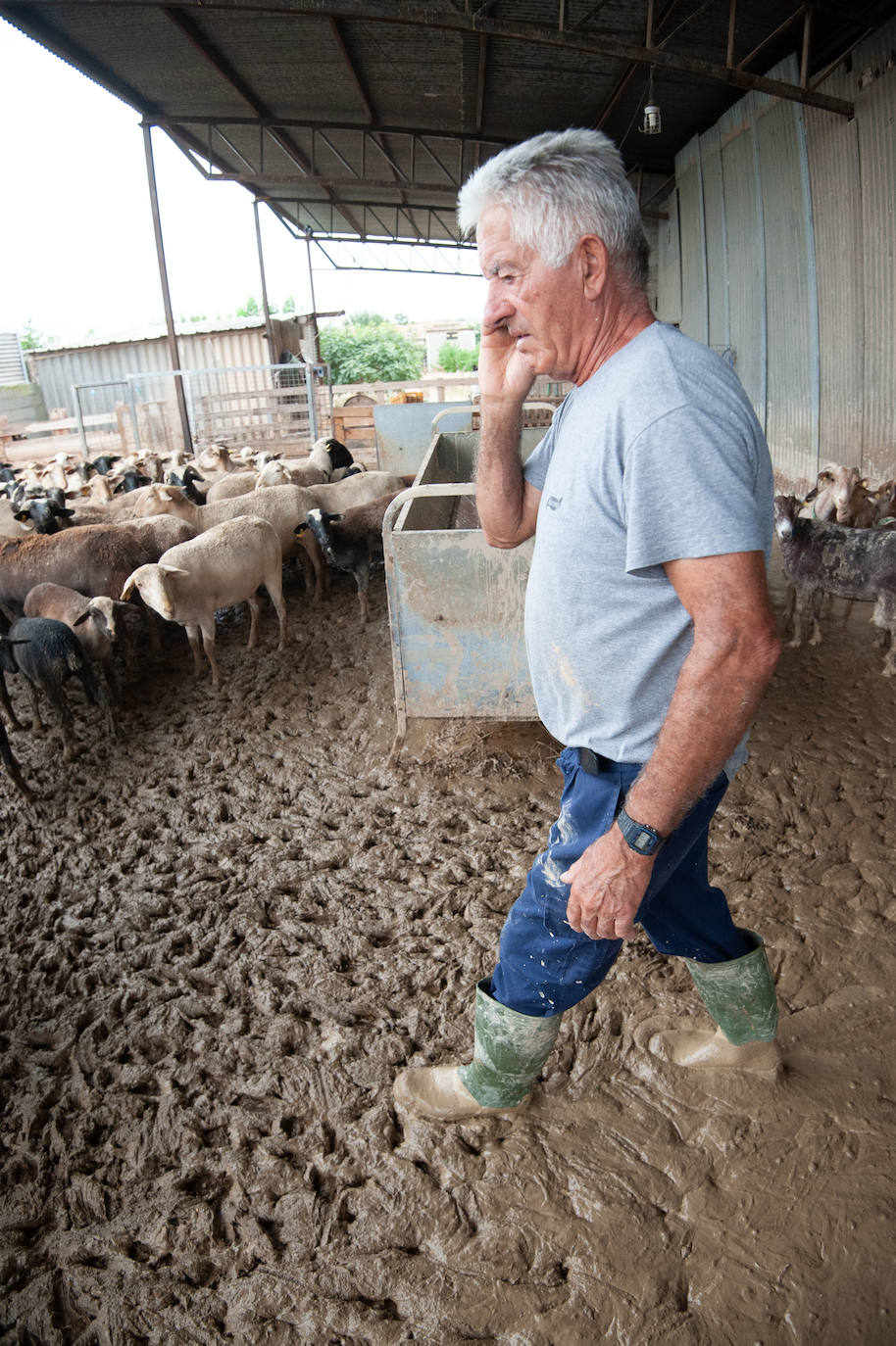 Recorrido por las localidades de Alquerías, Beniel y Llano de Brujas, donde el temporal causó cuantiosos destrozos