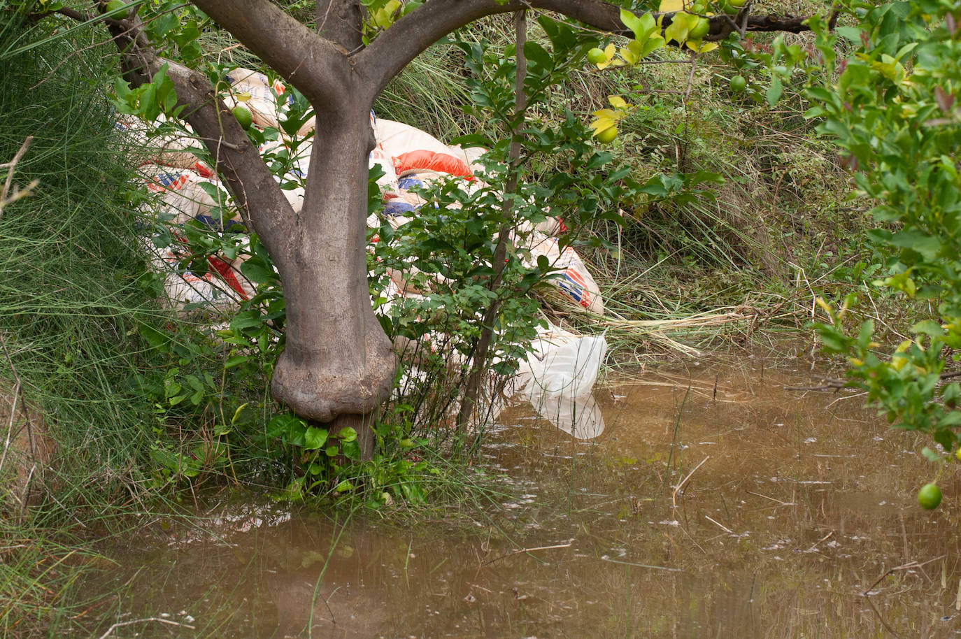 Recorrido por las localidades de Alquerías, Beniel y Llano de Brujas, donde el temporal causó cuantiosos destrozos