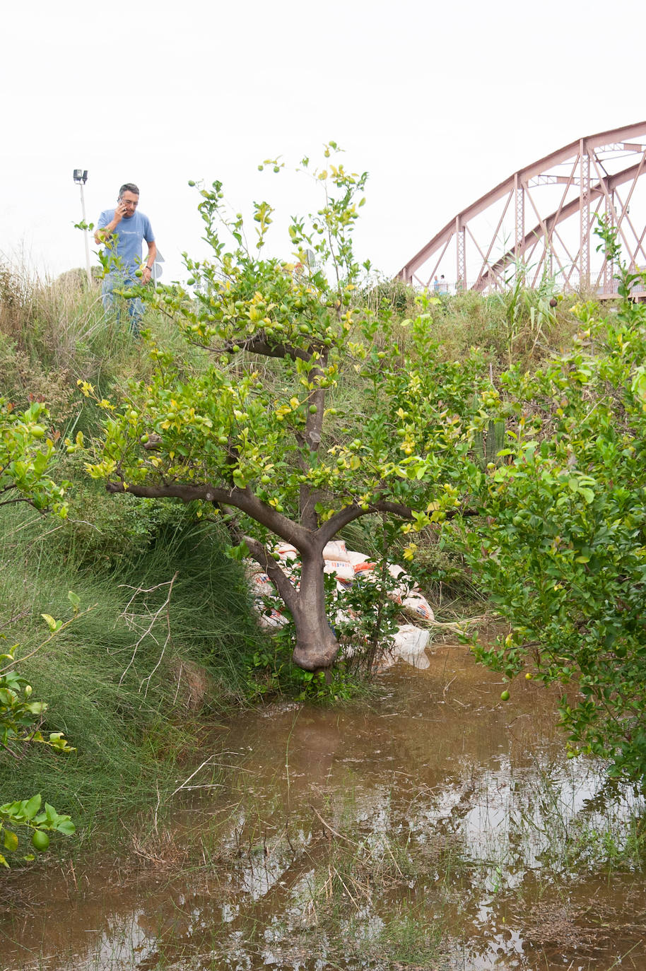 Recorrido por las localidades de Alquerías, Beniel y Llano de Brujas, donde el temporal causó cuantiosos destrozos