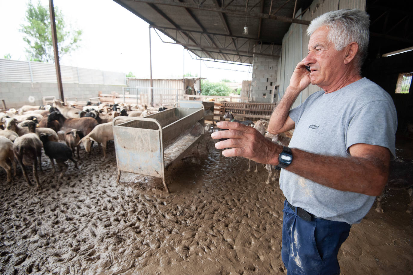 Recorrido por las localidades de Alquerías, Beniel y Llano de Brujas, donde el temporal causó cuantiosos destrozos