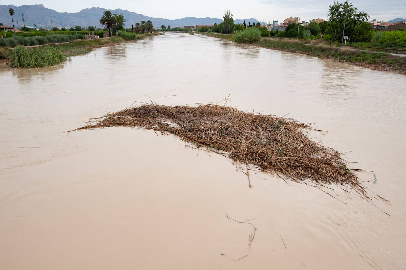 Recorrido por las localidades de Alquerías, Beniel y Llano de Brujas, donde el temporal causó cuantiosos destrozos