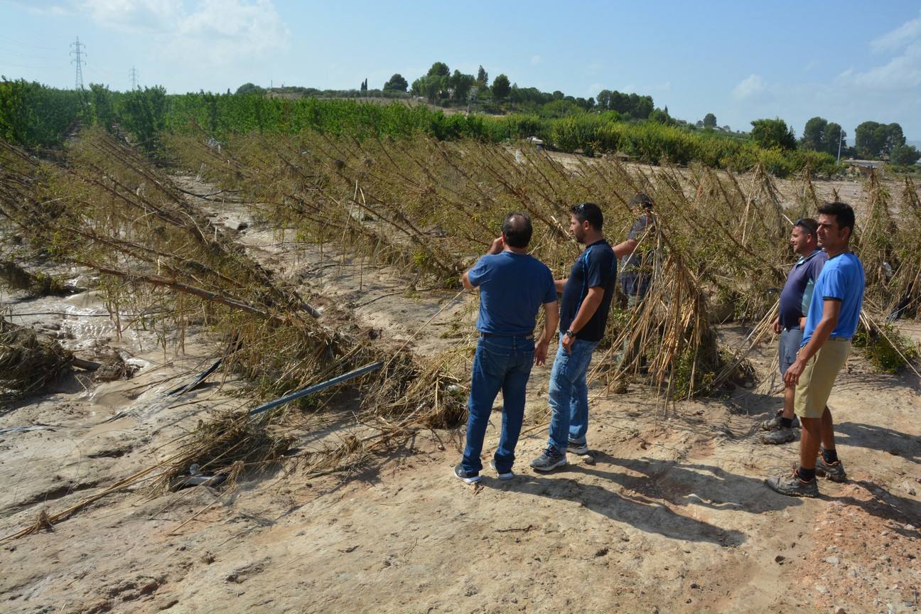 El Ayuntamiento de Cieza ha aprobado solicitar al Consejo de Ministros la declaración de su término Municipal así como del resto de municipios de la Región afectados, como zona afectada gravemente por una emergencia de protección civil.