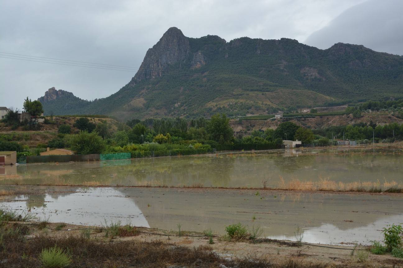 El Ayuntamiento de Cieza ha aprobado solicitar al Consejo de Ministros la declaración de su término Municipal así como del resto de municipios de la Región afectados, como zona afectada gravemente por una emergencia de protección civil.