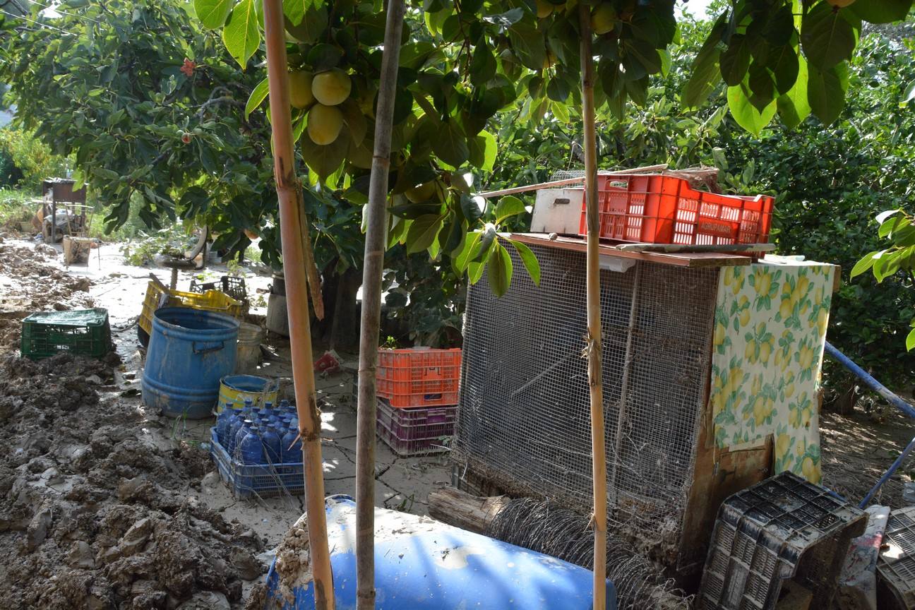 El Ayuntamiento de Cieza ha aprobado solicitar al Consejo de Ministros la declaración de su término Municipal así como del resto de municipios de la Región afectados, como zona afectada gravemente por una emergencia de protección civil.