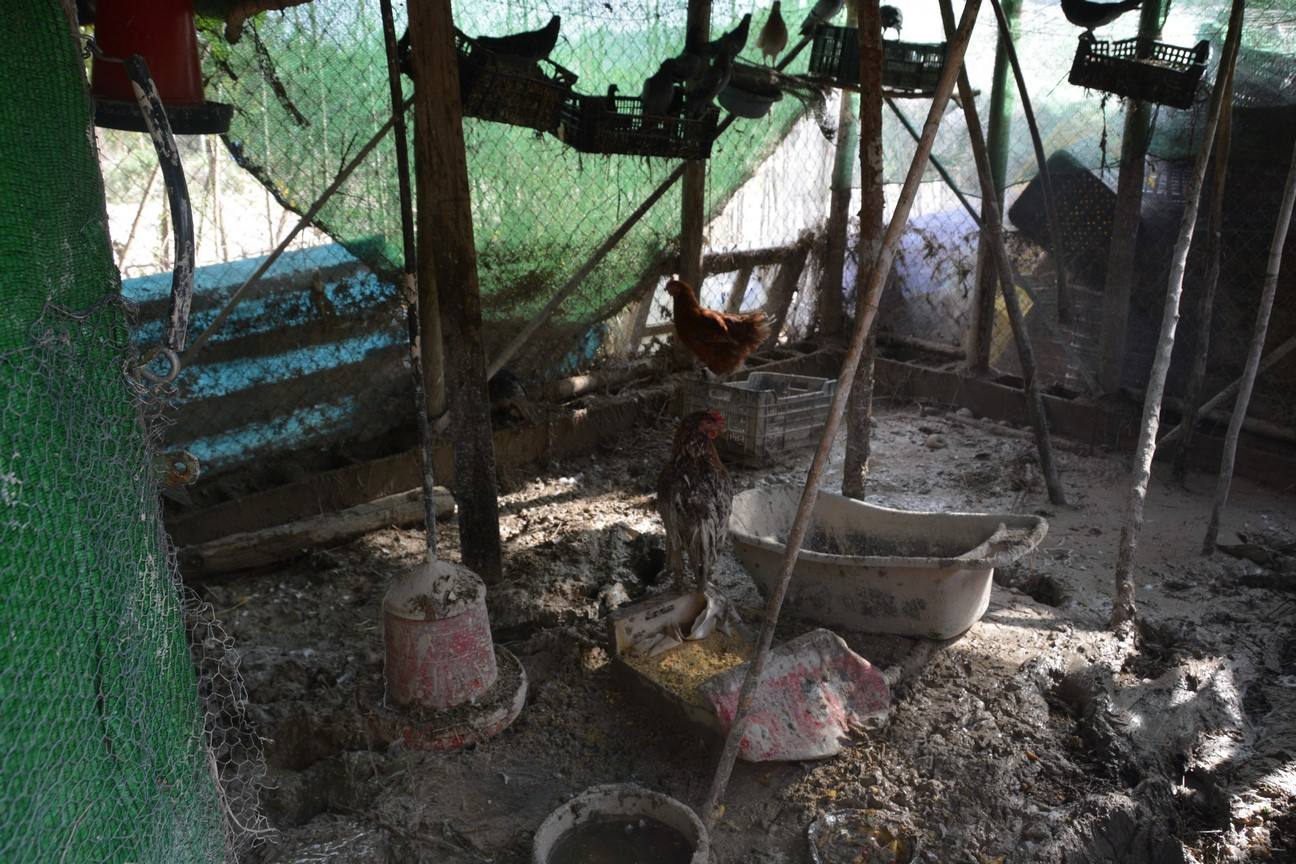 El Ayuntamiento de Cieza ha aprobado solicitar al Consejo de Ministros la declaración de su término Municipal así como del resto de municipios de la Región afectados, como zona afectada gravemente por una emergencia de protección civil.