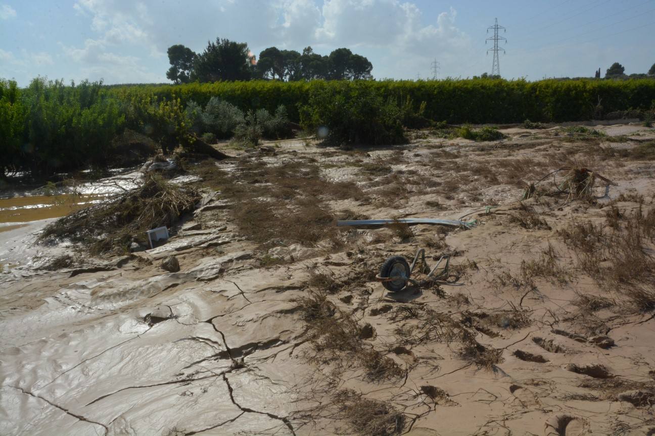 El Ayuntamiento de Cieza ha aprobado solicitar al Consejo de Ministros la declaración de su término Municipal así como del resto de municipios de la Región afectados, como zona afectada gravemente por una emergencia de protección civil.