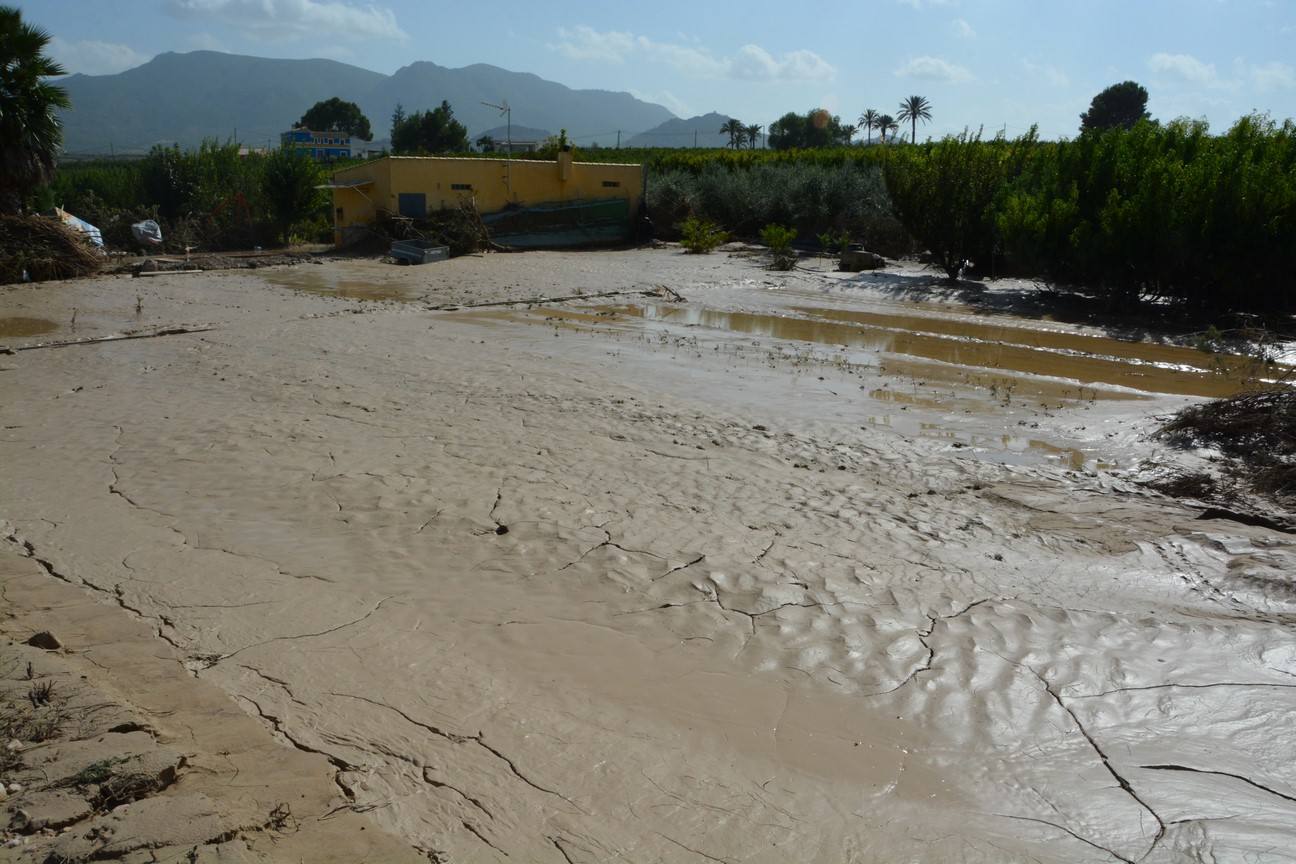 El Ayuntamiento de Cieza ha aprobado solicitar al Consejo de Ministros la declaración de su término Municipal así como del resto de municipios de la Región afectados, como zona afectada gravemente por una emergencia de protección civil.