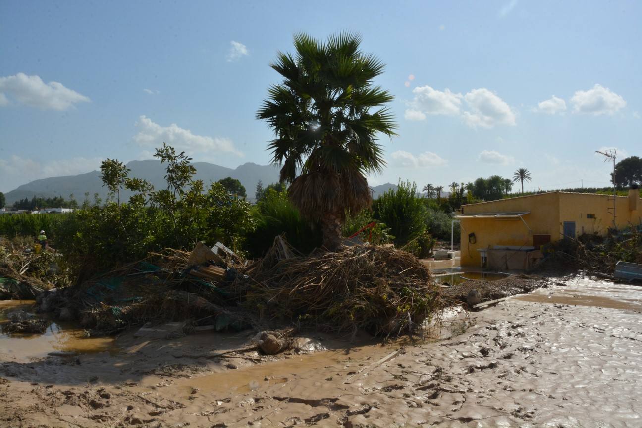 El Ayuntamiento de Cieza ha aprobado solicitar al Consejo de Ministros la declaración de su término Municipal así como del resto de municipios de la Región afectados, como zona afectada gravemente por una emergencia de protección civil.