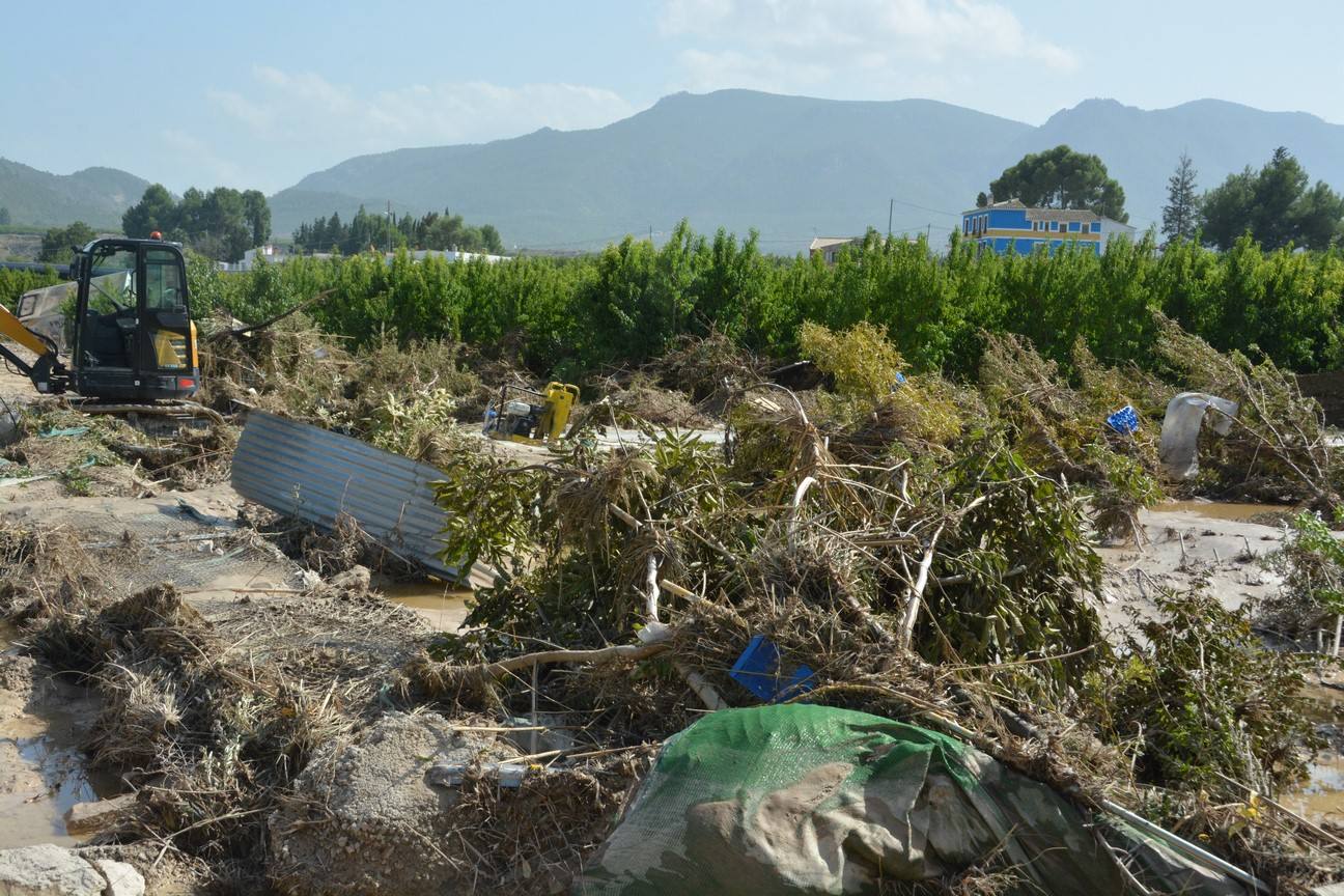 El Ayuntamiento de Cieza ha aprobado solicitar al Consejo de Ministros la declaración de su término Municipal así como del resto de municipios de la Región afectados, como zona afectada gravemente por una emergencia de protección civil.