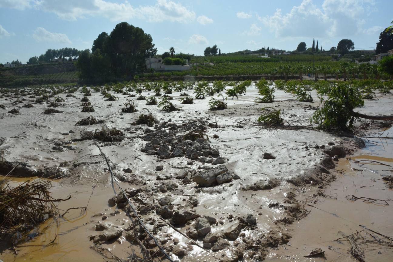 El Ayuntamiento de Cieza ha aprobado solicitar al Consejo de Ministros la declaración de su término Municipal así como del resto de municipios de la Región afectados, como zona afectada gravemente por una emergencia de protección civil.
