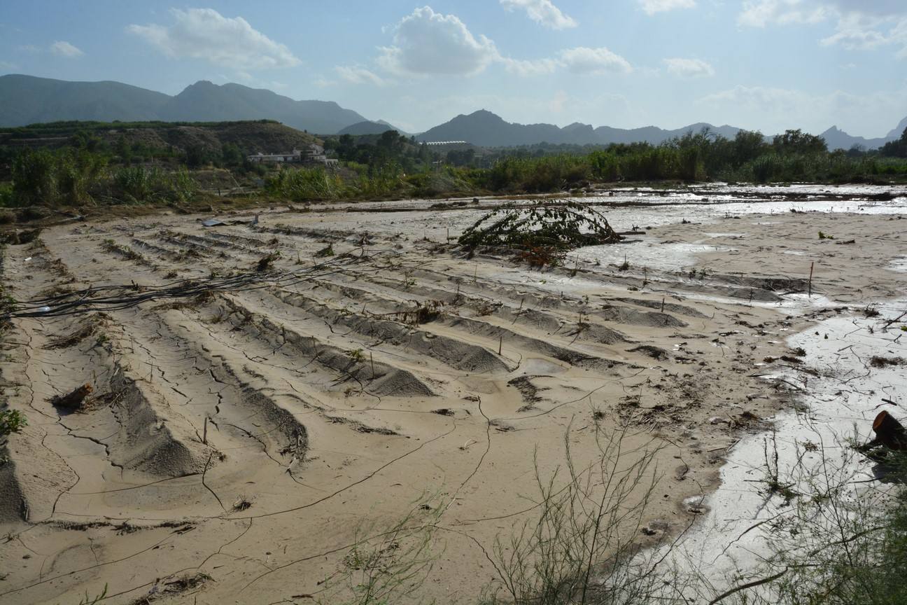 El Ayuntamiento de Cieza ha aprobado solicitar al Consejo de Ministros la declaración de su término Municipal así como del resto de municipios de la Región afectados, como zona afectada gravemente por una emergencia de protección civil.