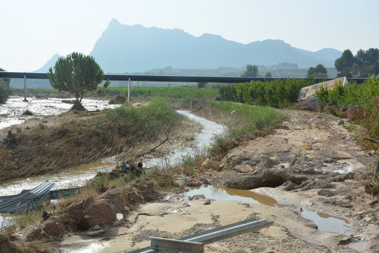 El Ayuntamiento de Cieza ha aprobado solicitar al Consejo de Ministros la declaración de su término Municipal así como del resto de municipios de la Región afectados, como zona afectada gravemente por una emergencia de protección civil.