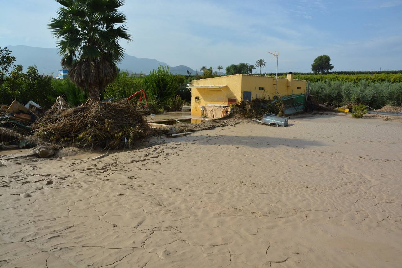 El Ayuntamiento de Cieza ha aprobado solicitar al Consejo de Ministros la declaración de su término Municipal así como del resto de municipios de la Región afectados, como zona afectada gravemente por una emergencia de protección civil.