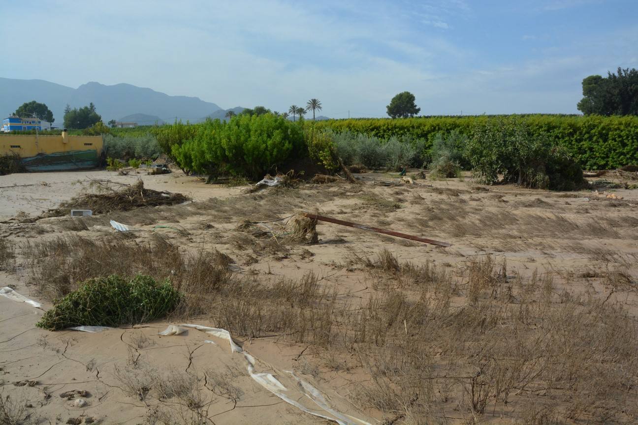 El Ayuntamiento de Cieza ha aprobado solicitar al Consejo de Ministros la declaración de su término Municipal así como del resto de municipios de la Región afectados, como zona afectada gravemente por una emergencia de protección civil.