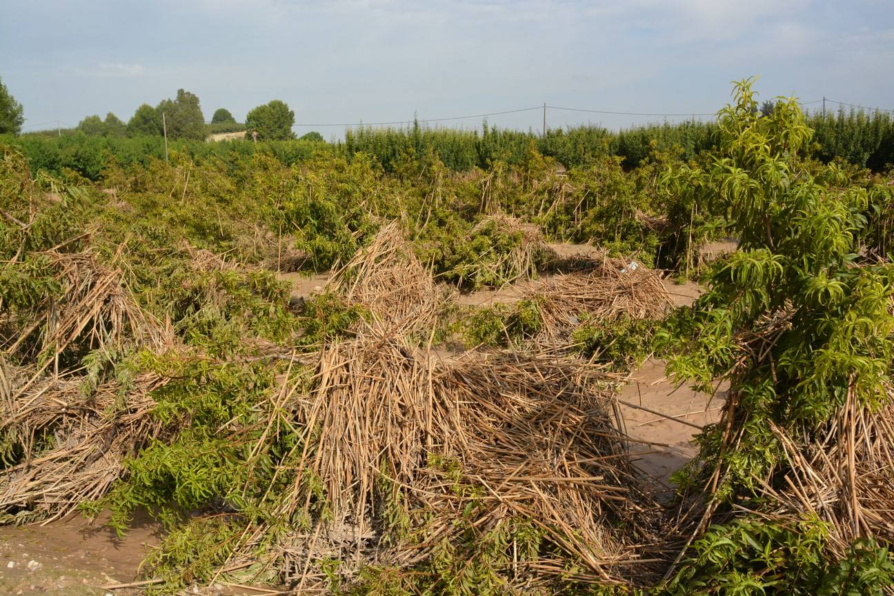 El Ayuntamiento de Cieza ha aprobado solicitar al Consejo de Ministros la declaración de su término Municipal así como del resto de municipios de la Región afectados, como zona afectada gravemente por una emergencia de protección civil.