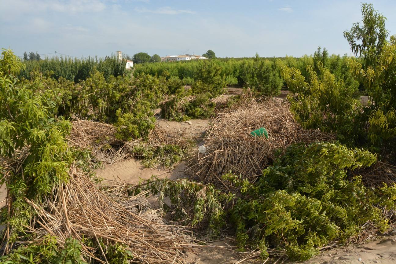 El Ayuntamiento de Cieza ha aprobado solicitar al Consejo de Ministros la declaración de su término Municipal así como del resto de municipios de la Región afectados, como zona afectada gravemente por una emergencia de protección civil.